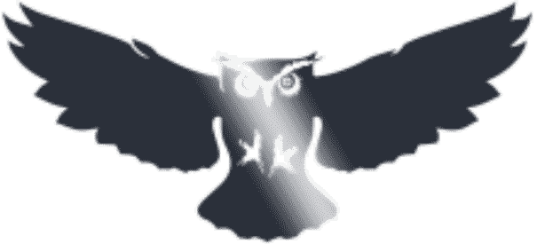 Sentis Owl